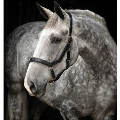 Horseware Rambo Micklem Halter -Farm House Tack Sales Shop halterblack 20010.1586963002.1280.1280