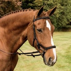 Rambo Micklem Deluxe Competition Bridle -Farm House Tack Sales Shop havana 17224.1590614971.1280.1280