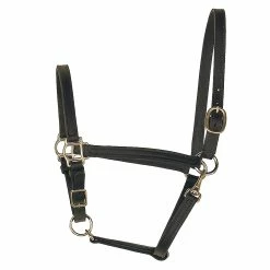 Perri's 3/4" Leather Turnout Halter