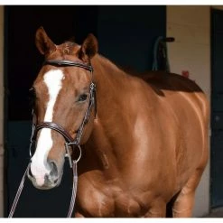 Huntley Equestrian Sedgwick Leather Fancy Stitched Bridle -Farm House Tack Sales Shop huntley eq sedgwick aust nut5 95416.1588357252.1280.1280