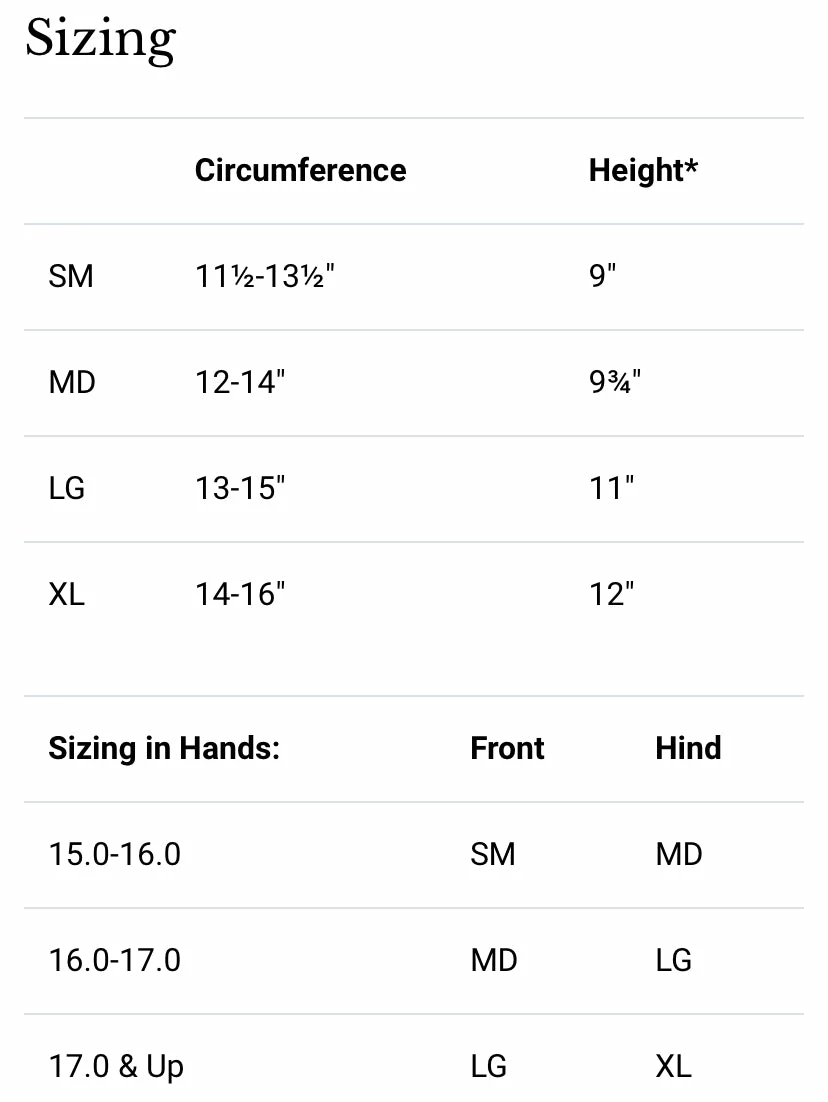 Dressage Sport Boot2 2 Dressage Sport Boot2 - Image 2