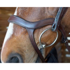Nunn Finer Innovativo Shaped Bridle -Farm House Tack Sales Shop innovatio3