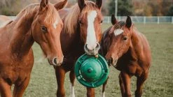 12" Equine Kong Boredom Buster Classic Kit Stall Toy -Farm House Tack Sales Shop kongkit