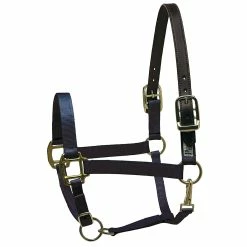 Perri's Premium Nylon Safety Halter -Farm House Tack Sales Shop navy 34737.1588257173.1280.1280