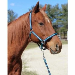 Tuffrider Nylon Breakaway Halter And Lead -Farm House Tack Sales Shop navy neon blue2 31322.1587406680.1280.1280