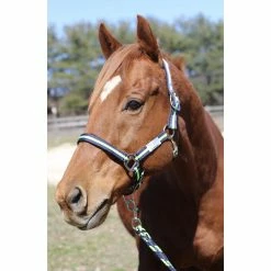 Tuffrider Nylon Breakaway Halter And Lead -Farm House Tack Sales Shop navy neon green2 18536.1587406680.1280.1280