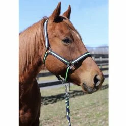 Tuffrider Nylon Breakaway Halter And Lead -Farm House Tack Sales Shop navy neon green3 35065.1587406680.1280.1280
