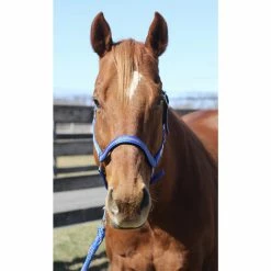 Tuffrider Nylon Breakaway Halter And Lead -Farm House Tack Sales Shop neon blue grey2 75175.1587406680.1280.1280