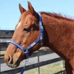 Tuffrider Nylon Breakaway Halter And Lead -Farm House Tack Sales Shop neon blue grey front 42422.1587406680.1280.1280