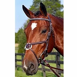 Nunn Finer Figure Eight Bridle -Farm House Tack Sales Shop new 31853545 40ae 422b a823 f67607d5803d