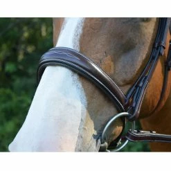 Red Barn By KL Select Ocala Hunter Bridle -Farm House Tack Sales Shop ocala2 47920.1584458377.1280.1280