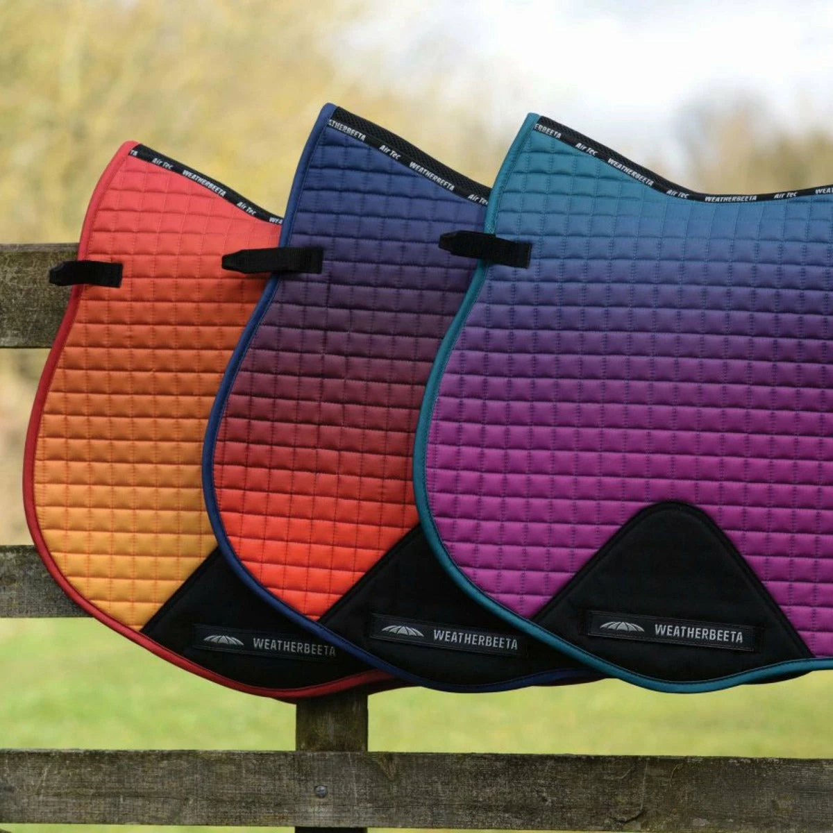 Weatherbeeta Prime All Purpose Ombre Saddle Pad 11 Weatherbeeta Prime All Purpose Ombre Saddle Pad - Image 11