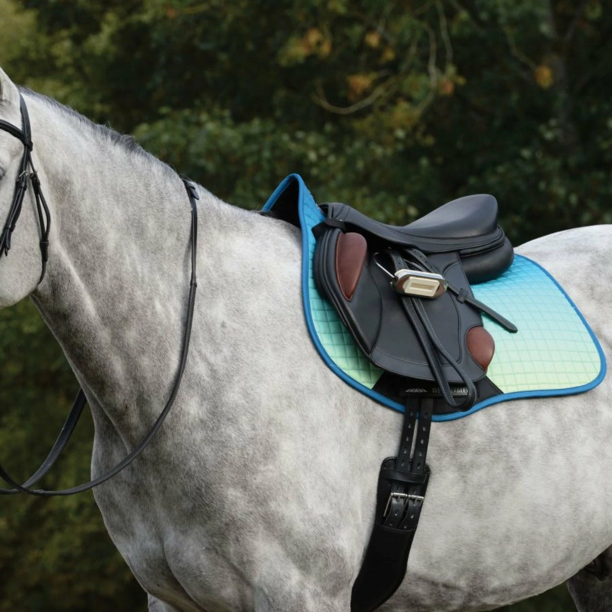 Weatherbeeta Prime All Purpose Ombre Saddle Pad 14 Weatherbeeta Prime All Purpose Ombre Saddle Pad - Image 14