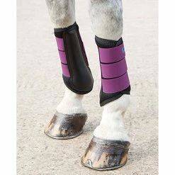 Arma Air Motion Brushing Boots -Farm House Tack Sales Shop plum