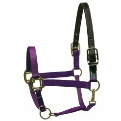 Perri's Premium Nylon Safety Halter -Farm House Tack Sales Shop purple 30426.1588257175.1280.1280
