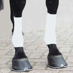EquiFit Horsesox -Farm House Tack Sales Shop soocks white 24904.1590083952.1280.1280