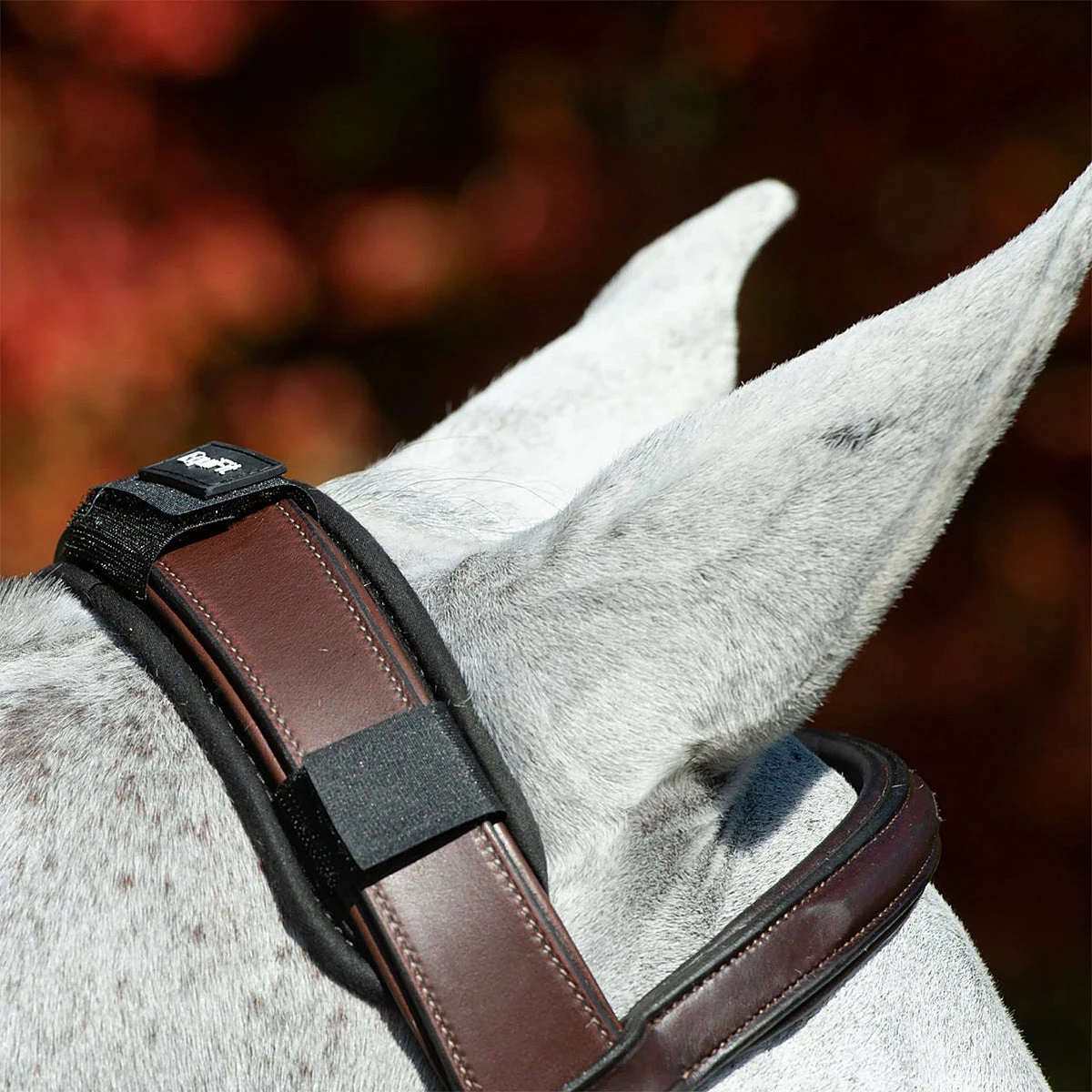 EquiFit ImpacTeq CrownPad 2 EquiFit ImpacTeq CrownPad - Image 2