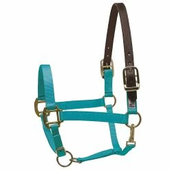 Perri's Premium Nylon Safety Halter -Farm House Tack Sales Shop turquoise 84378.1588257174.1280.1280